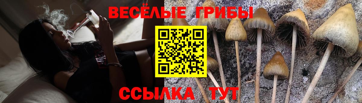 APVP Комсомольск-на-Амуре